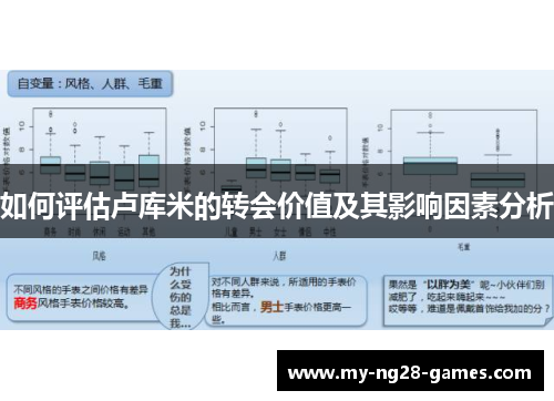 如何评估卢库米的转会价值及其影响因素分析