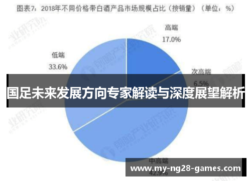国足未来发展方向专家解读与深度展望解析