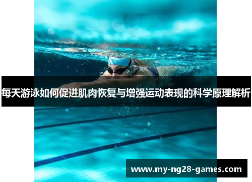 每天游泳如何促进肌肉恢复与增强运动表现的科学原理解析