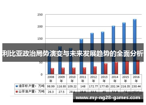 利比亚政治局势演变与未来发展趋势的全面分析