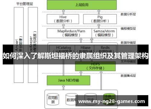 如何深入了解斯坦福桥的隶属组织及其管理架构